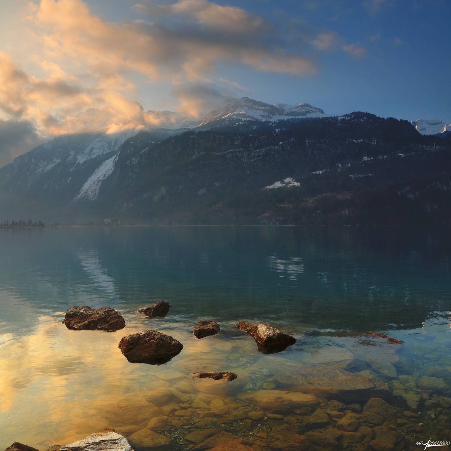 swiss, Матвеев Николай