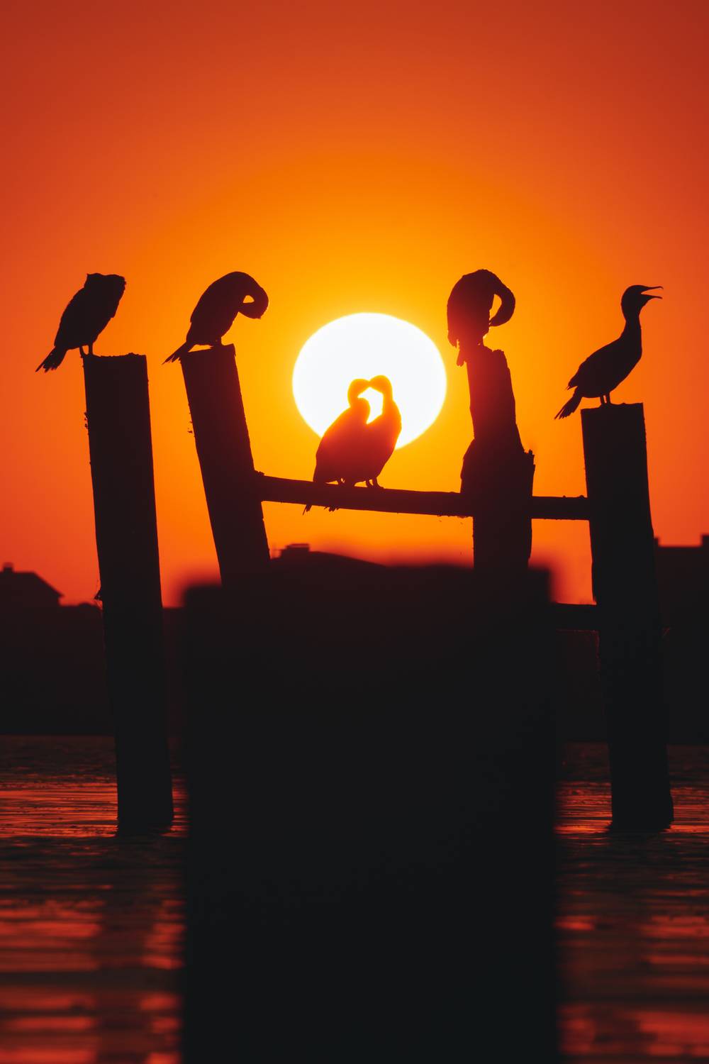 , Кривцов Андрей