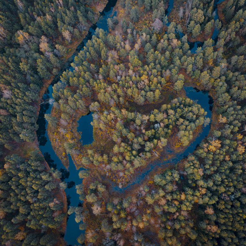 В сердце Мещеры фото превью