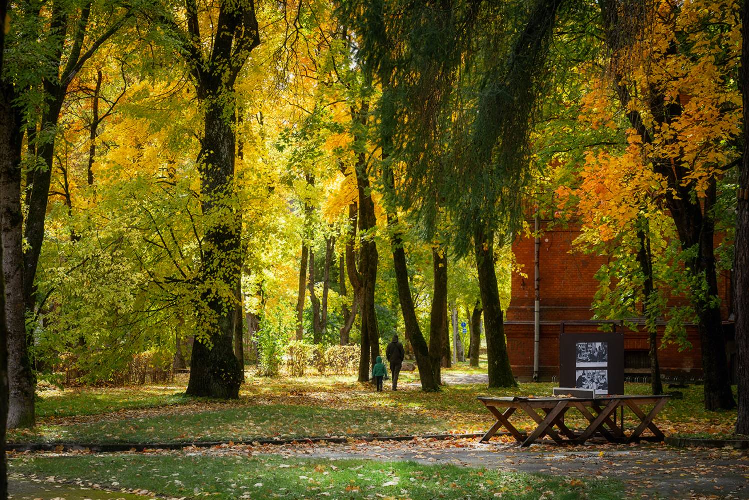нарва осень октябрь кренгольм, Четвертной Сергей