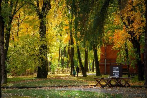 Нарвская осень