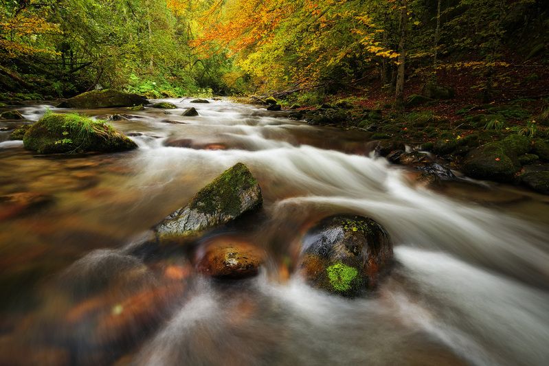 2025 фото превью