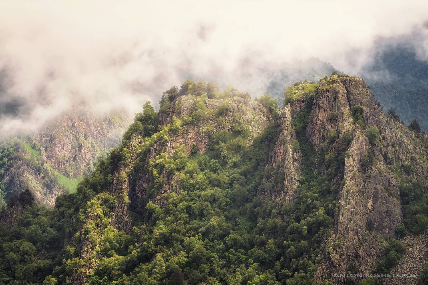 , Антон Кошетаров