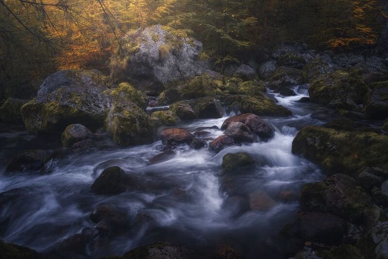 Under the Breath of Light фото превью