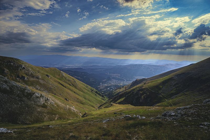 Rais фото превью