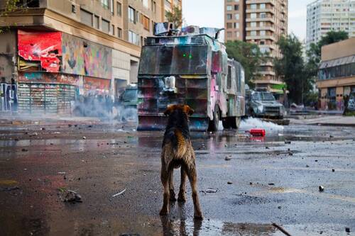 REVUELTA SOCIAL / ESTALLIDO SOCIAL