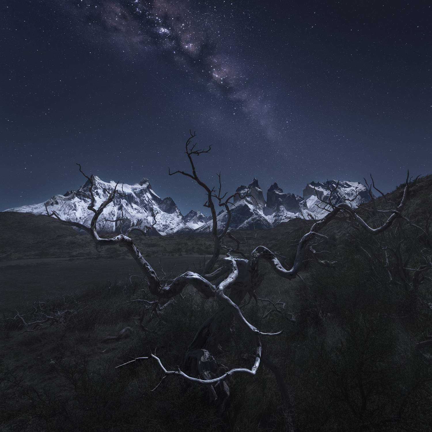 , Политова Анна