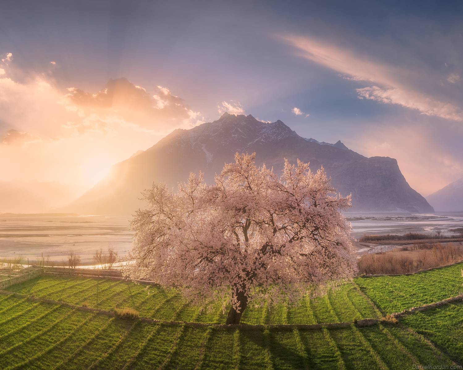 , Даниил Коржонов