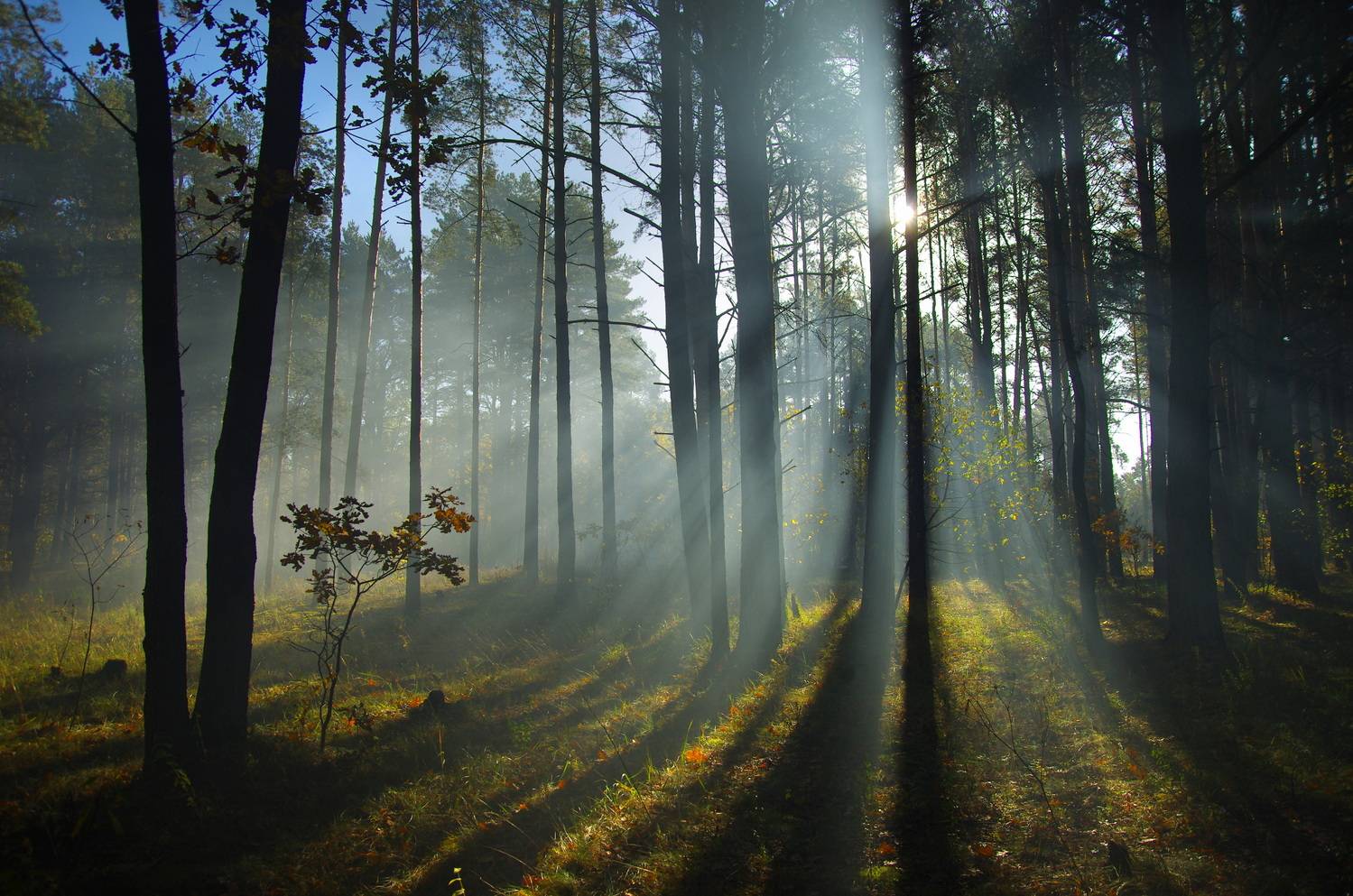 , Шляга Сергей