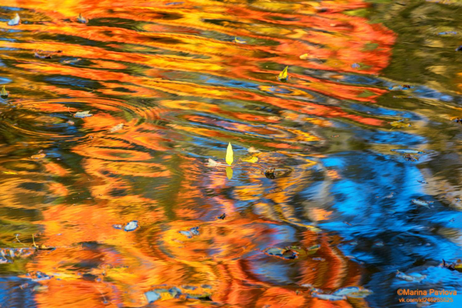 абстракция, акваабстракция, акваграфика, отражение на воде, осенние отражения, детскийпруд, александровский парк, город пушкин, Павлова Марина