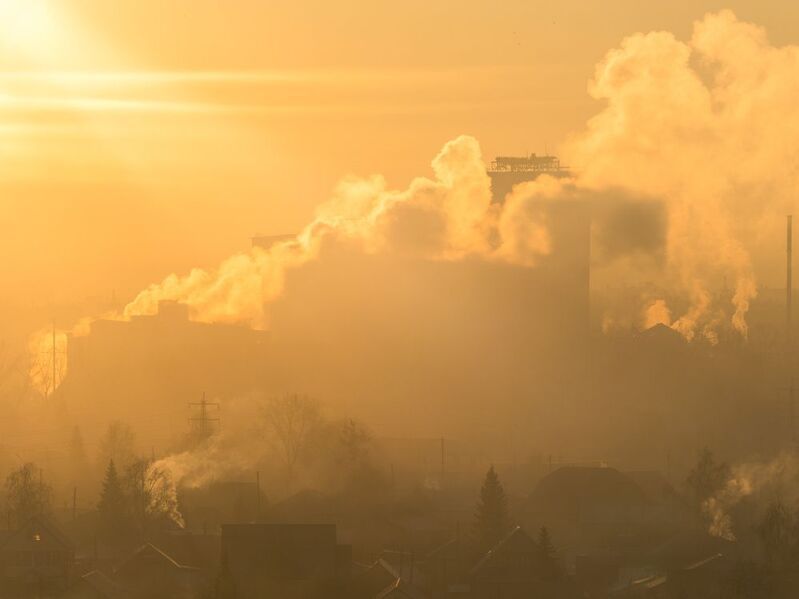 Утро фото превью