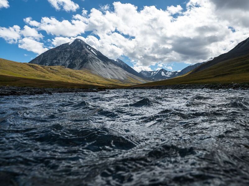 Елангаш фото превью