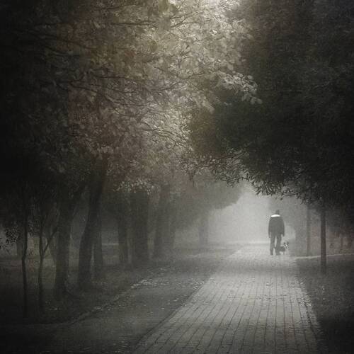 Растрачивая снов остатки.