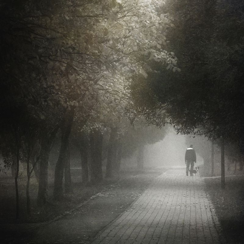 чб, туман, стрит Растрачивая снов остатки. фото превью