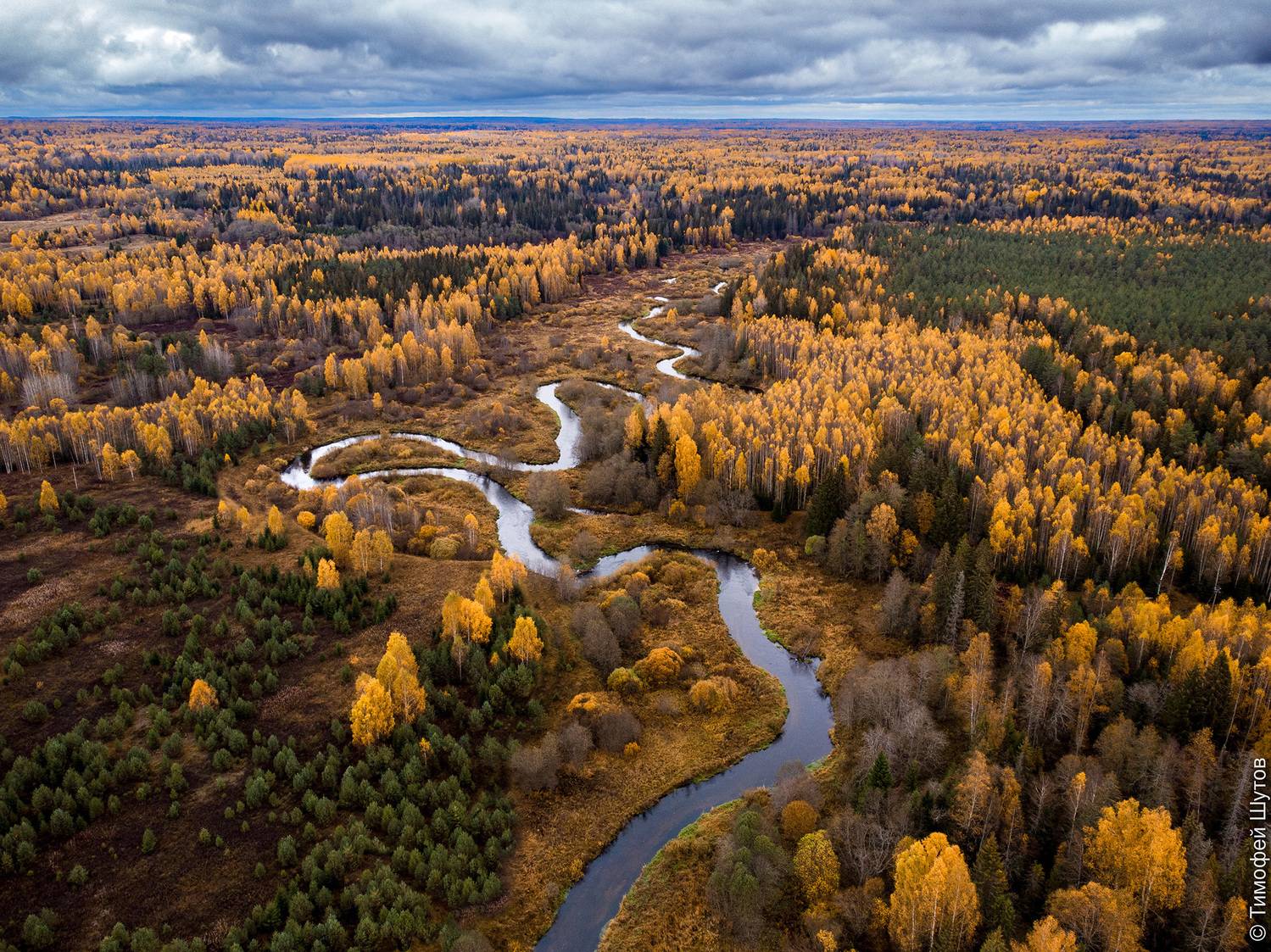 валдай, Тимофей Шутов