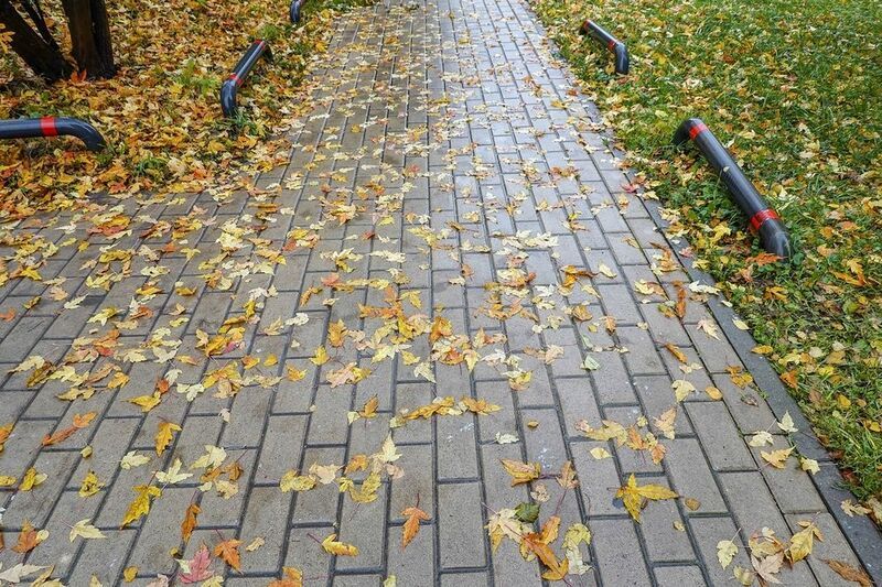 Осенние тротуары фото превью