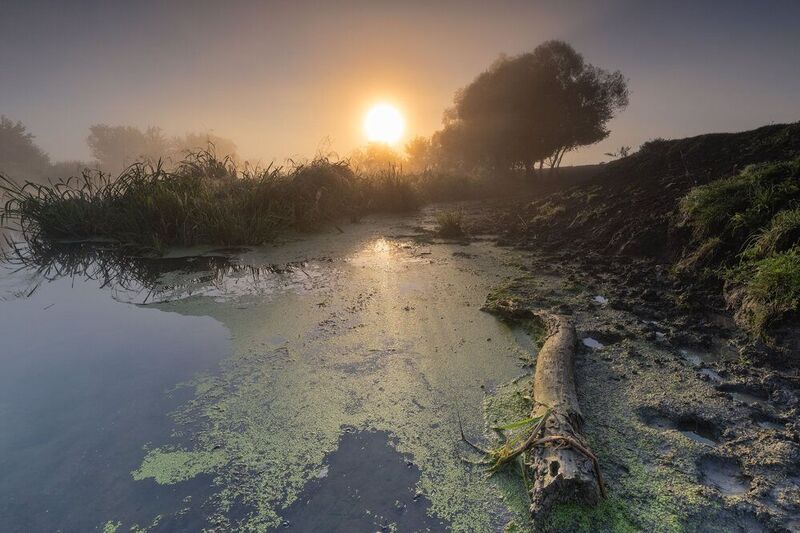 Август. Туман. фото превью