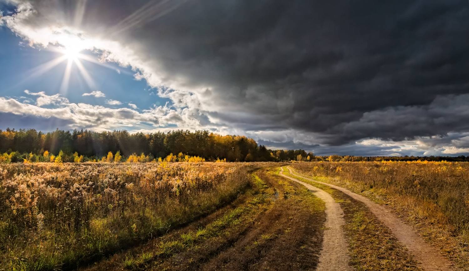 , Евгений Ерохин