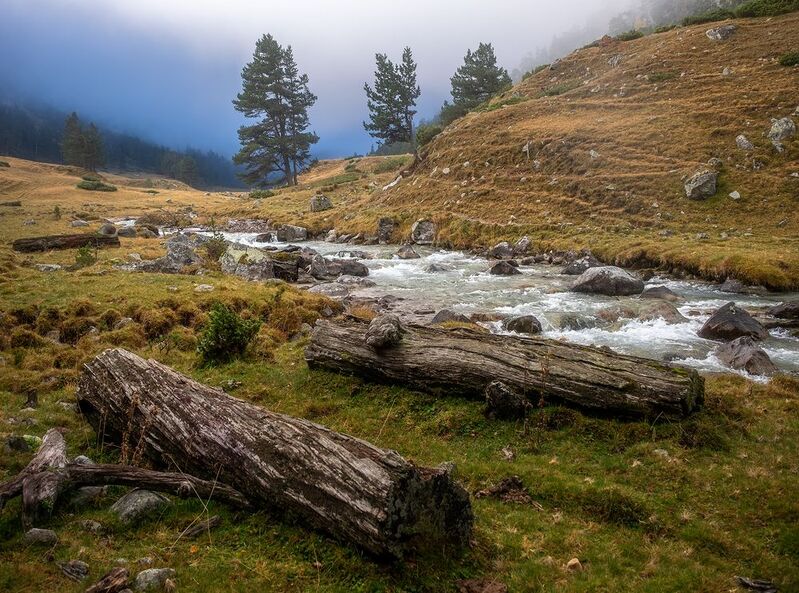 #ProCaucasus фото превью