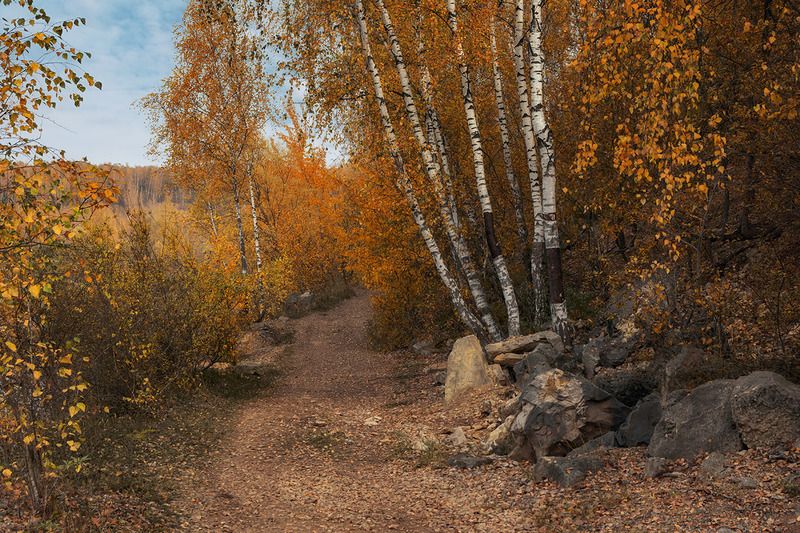 Дорога в осень. фото превью