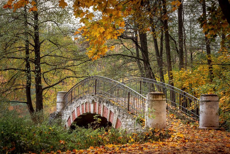 Осень в Кузьминском парке фото превью