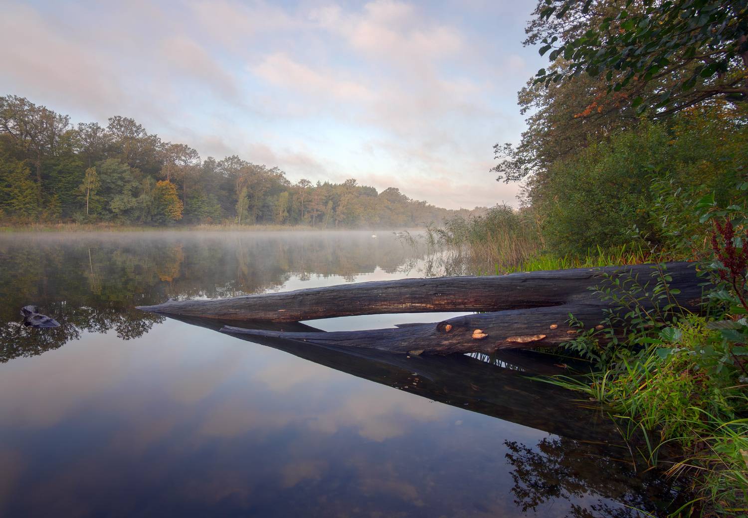 landscape, lake, morning, fog, Виктор Тулбанов