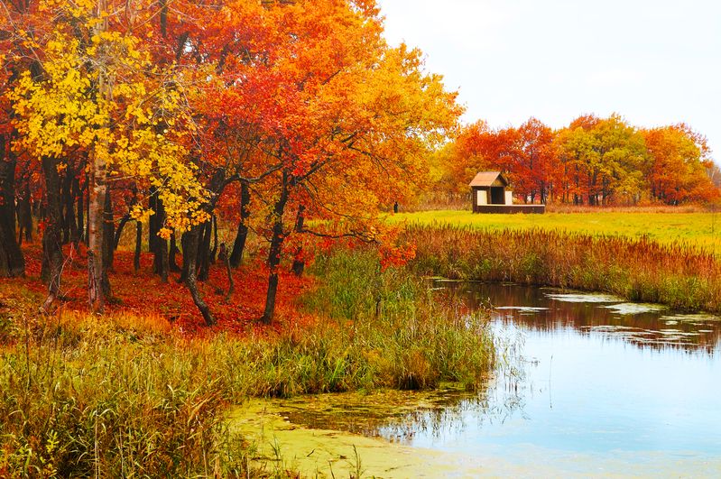 Secluded фото превью