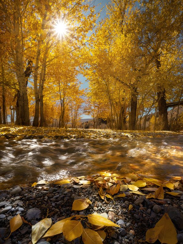 Осенние ручьи фото превью