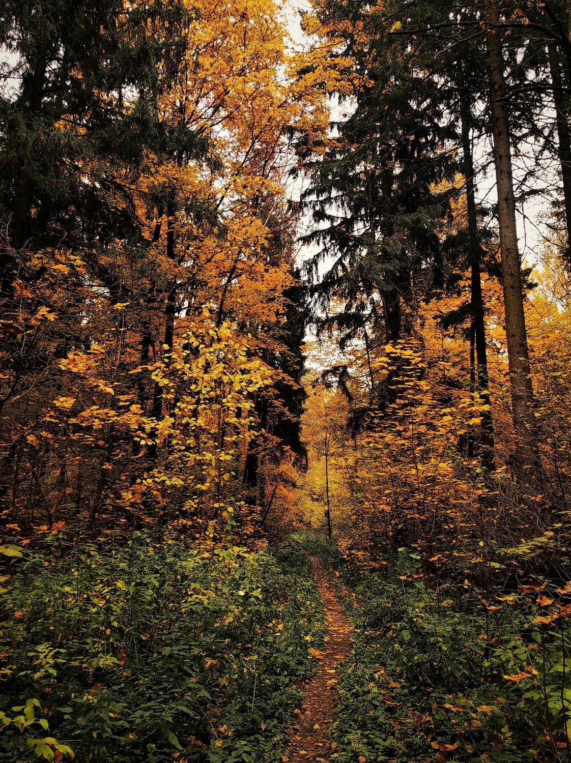 , Фото Александр