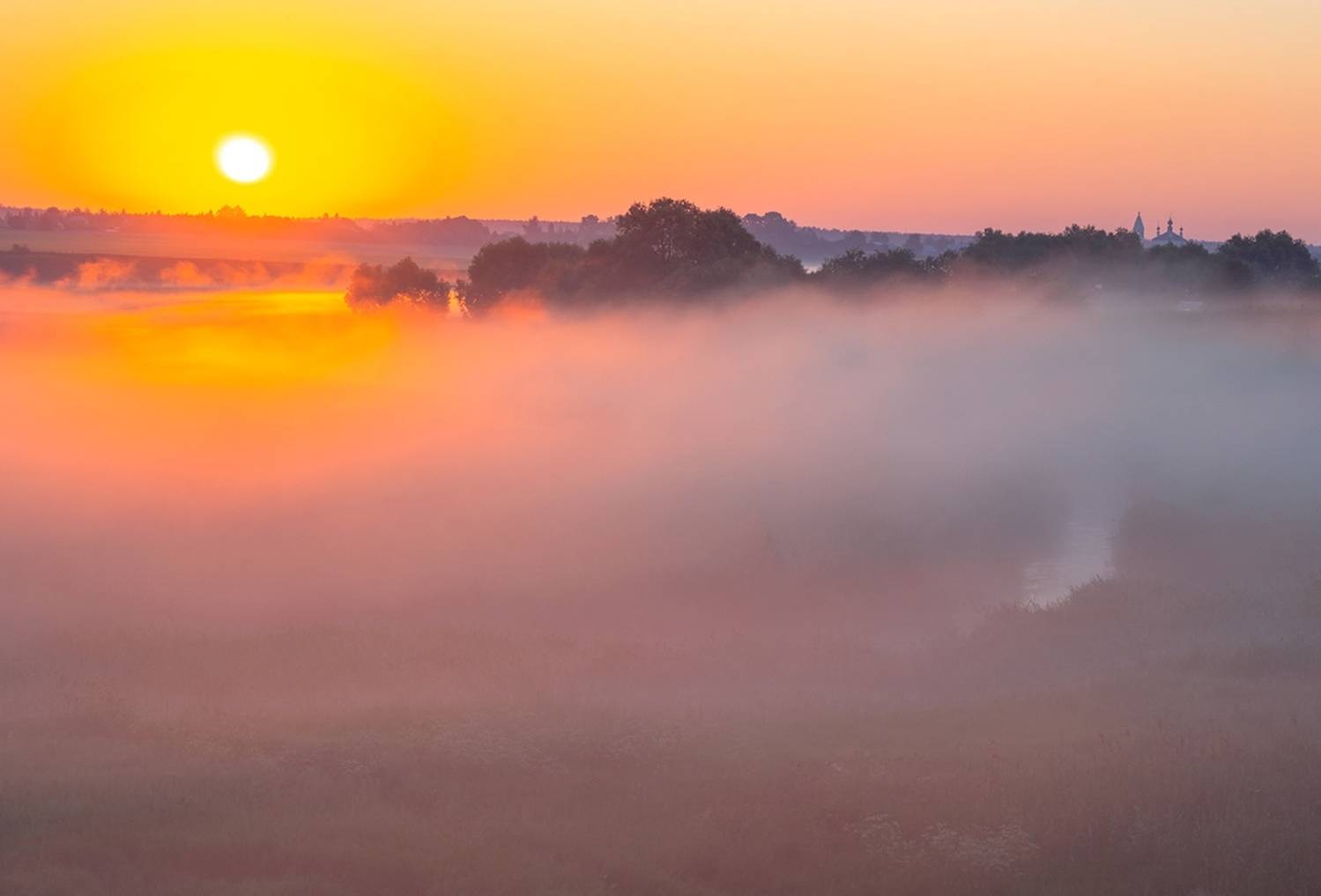 , Петр Косых