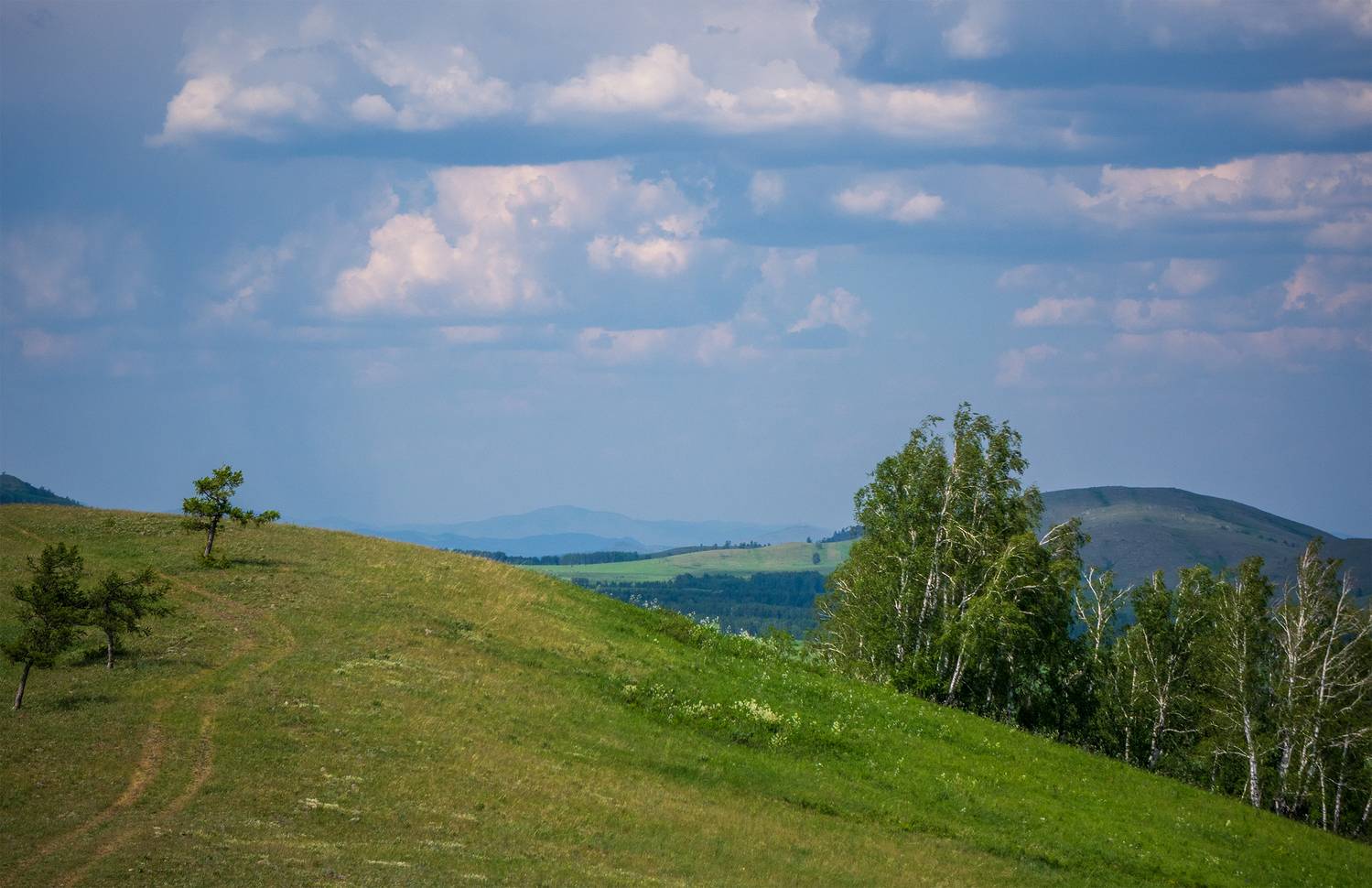 , Шустиков Дмитрий