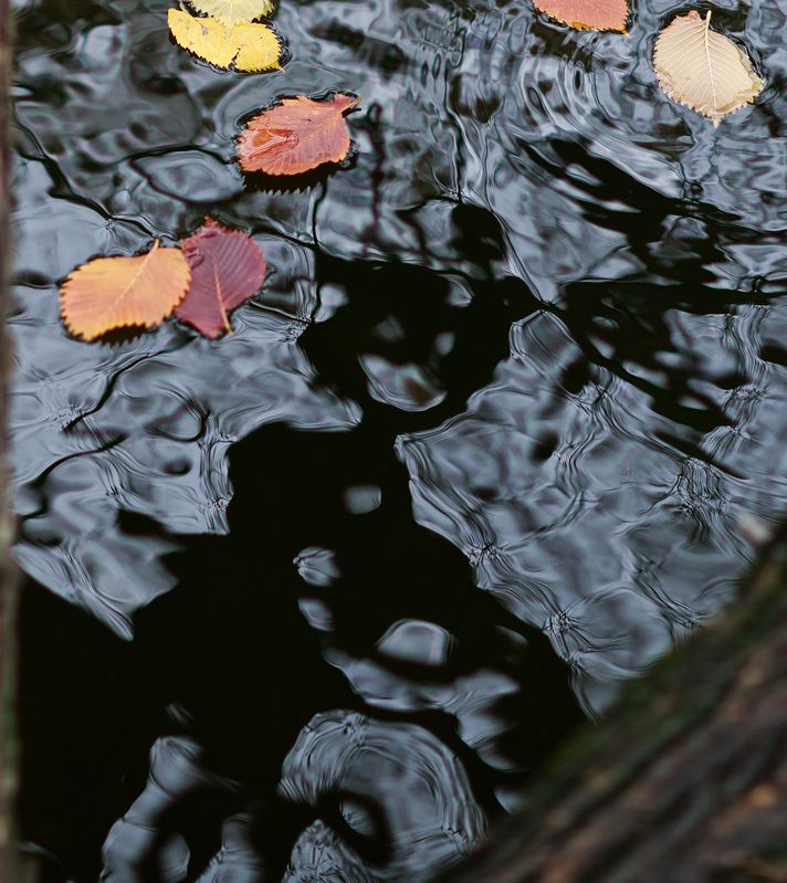 Простые сюжеты фото превью