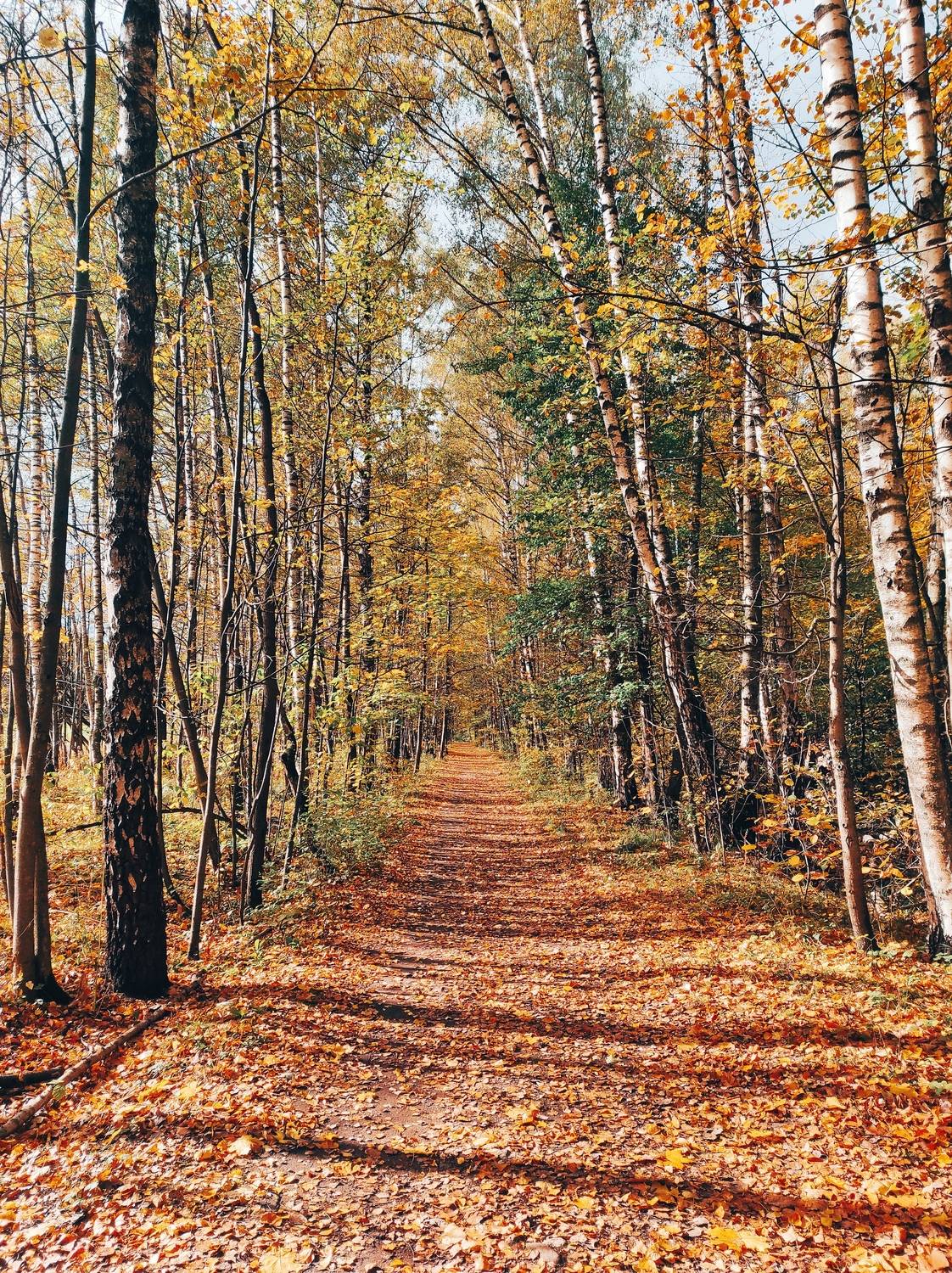 , Фото Александр