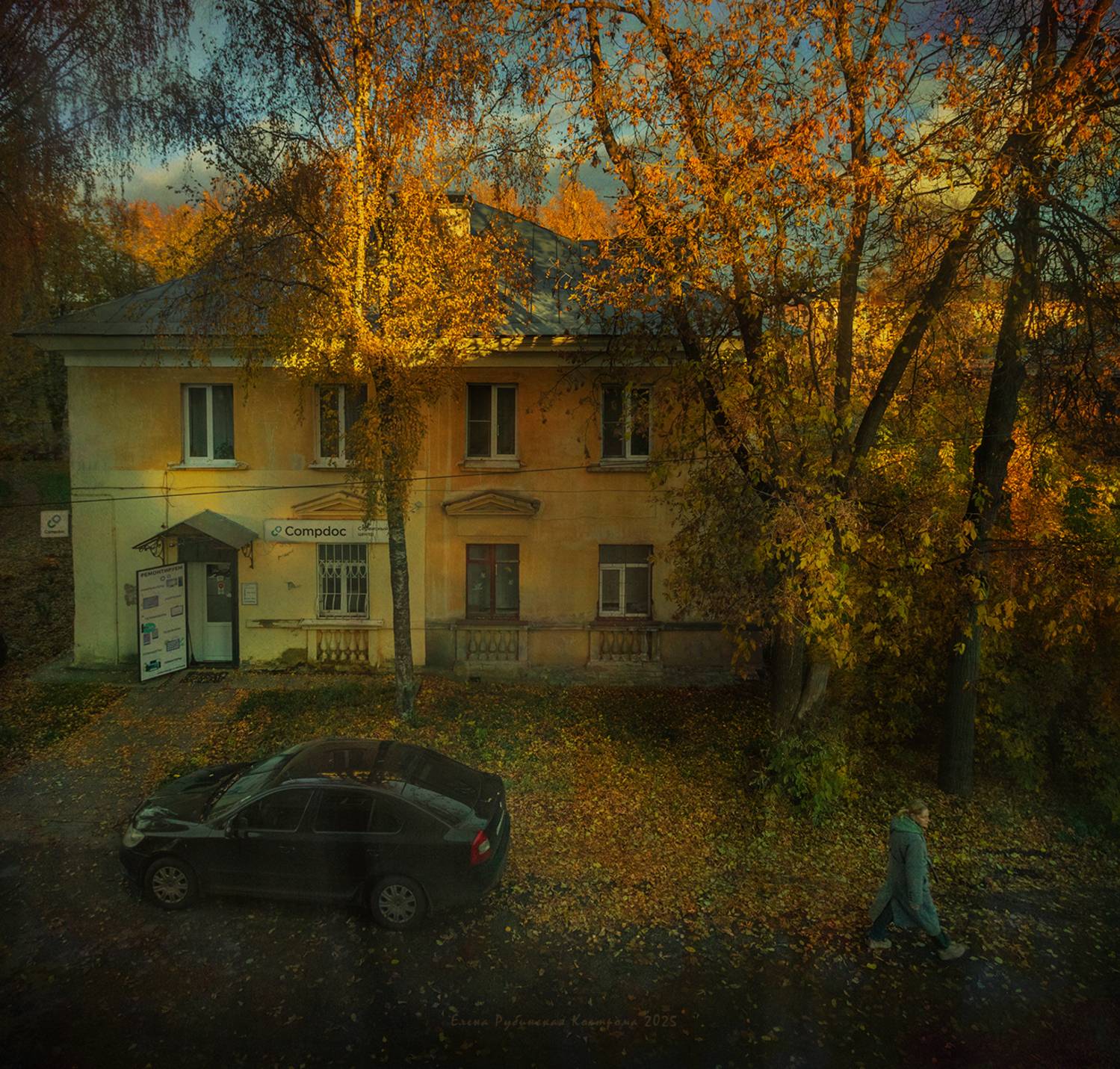 кострома, Елена Рубинская