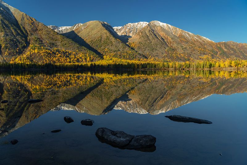 саяны, жомболок, бурсагай, бурятия, осень Осенний бурсагай фото превью