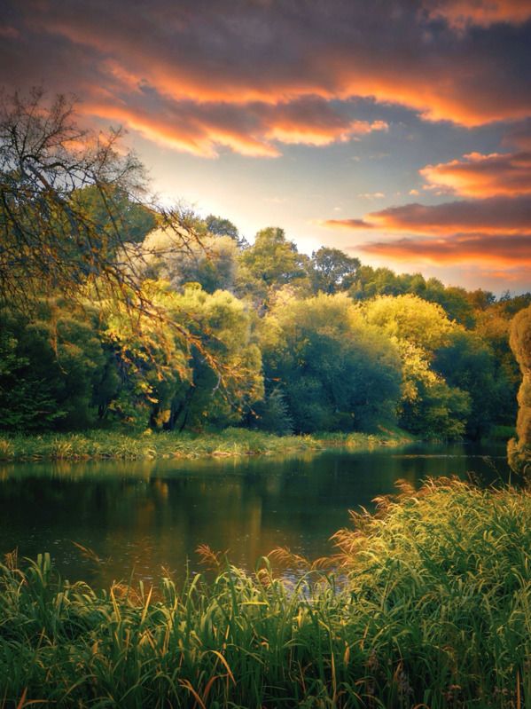 пейзаж, landscape, nature, природа, осень, autumn, золотаяосень, goldatum, пруд *** фото превью