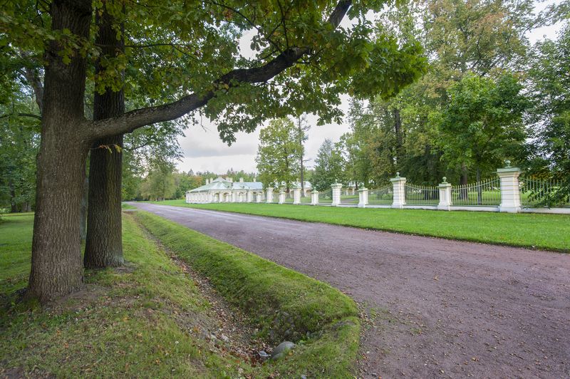 После дождя фото превью