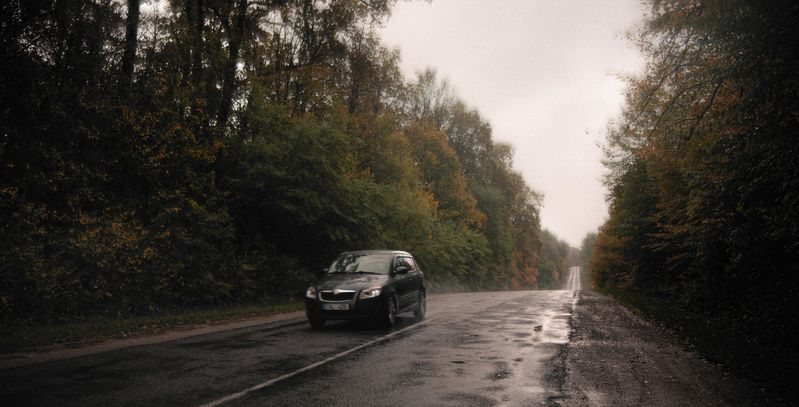 осень, дождь, тишина, дорога, отражение, спокойствие, туман, минимализм, настроение, мягкий свет, атмосфера, природа, покой, пейзаж, влажность, после дождя, умиротворение, осенний день, мокрый асфальт, прохлада, меланхолия, тишина после дождя, осенняя пог Осень делает даже привычные пути другими. фото превью