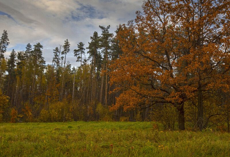 *** фото превью