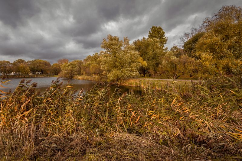 Лефортовский парк, Москва. фото превью