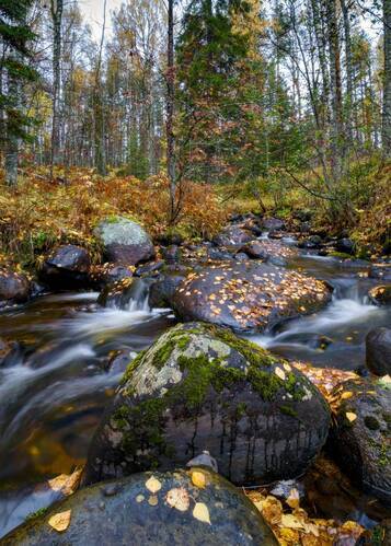 Ещё про осень