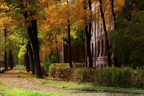 Разноцветье октября.