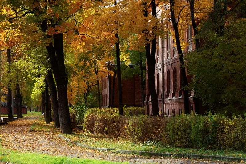 нарва осень октябрь кренгольм Разноцветье октября. фото превью