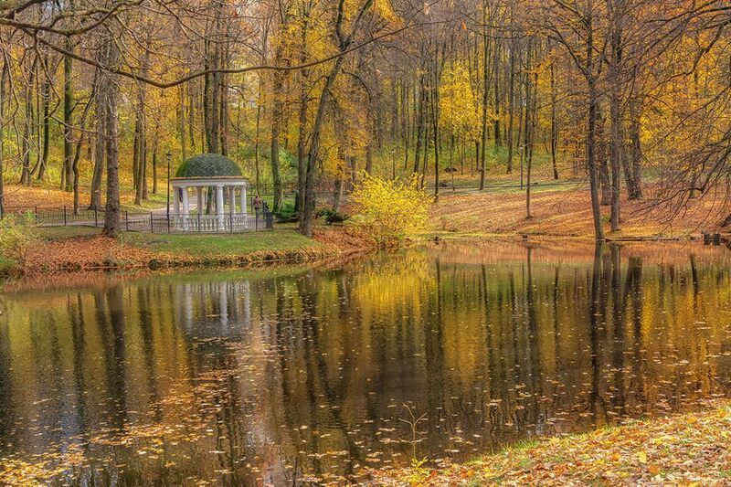 Осень в парке. фото превью