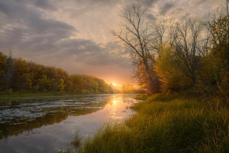 Богатая осень. фото превью