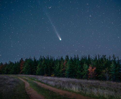 Comet C/2025 A6 (Lemmon)