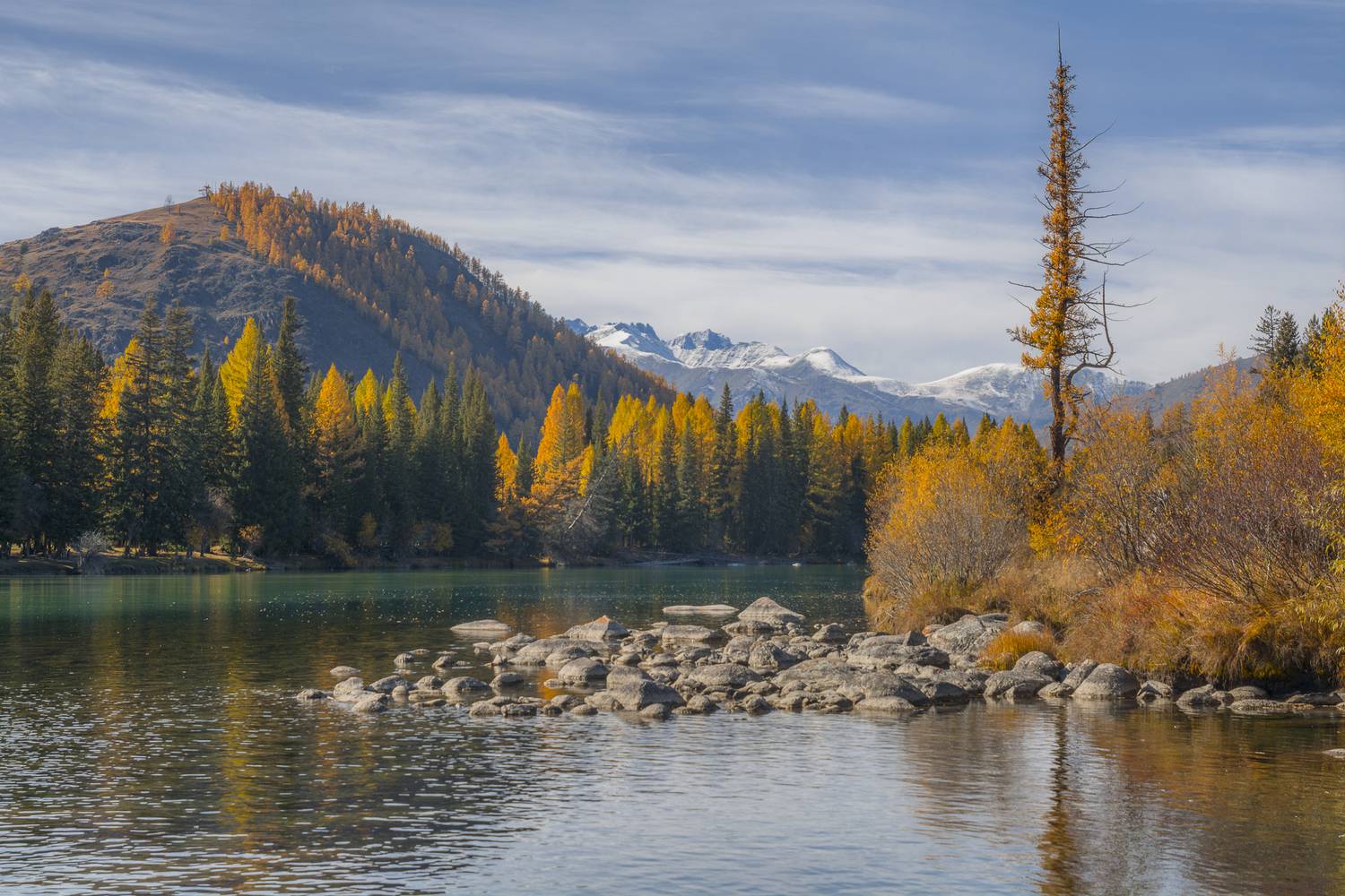 россия, горный алтай, река, осень, Андрей Поляков