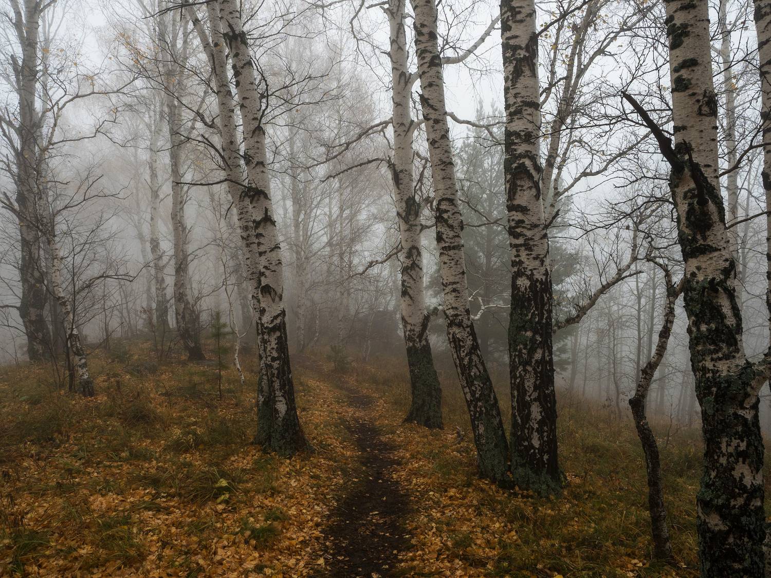 , Станислав