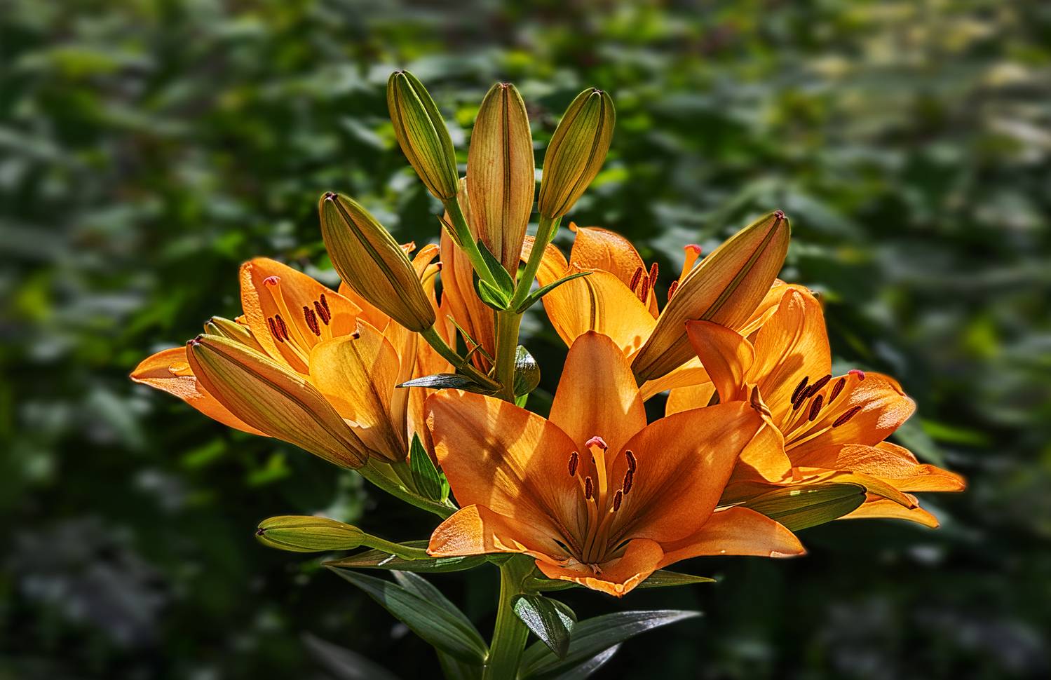 , Ушаков Валерий