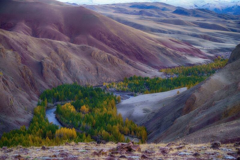 горы, осень, пейзаж, марс, алтай, утро, вечер, день, лес Красные горы Алтая фото превью